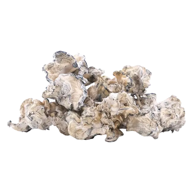 Enigma | Magic Mushrooms | Ounce