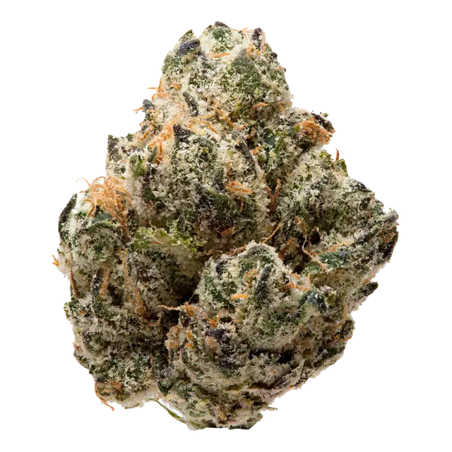 Mochi Gumbo | Hybrid | 3.5