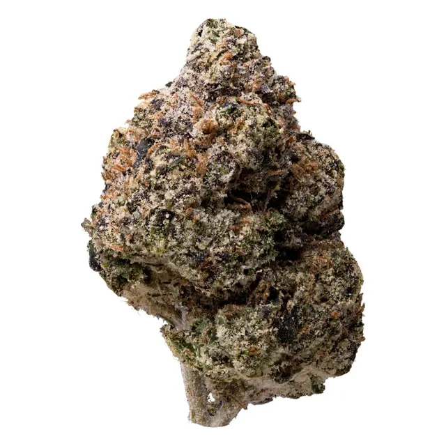 Super Lemon Cherry Gelato | Hybrid | 3.5